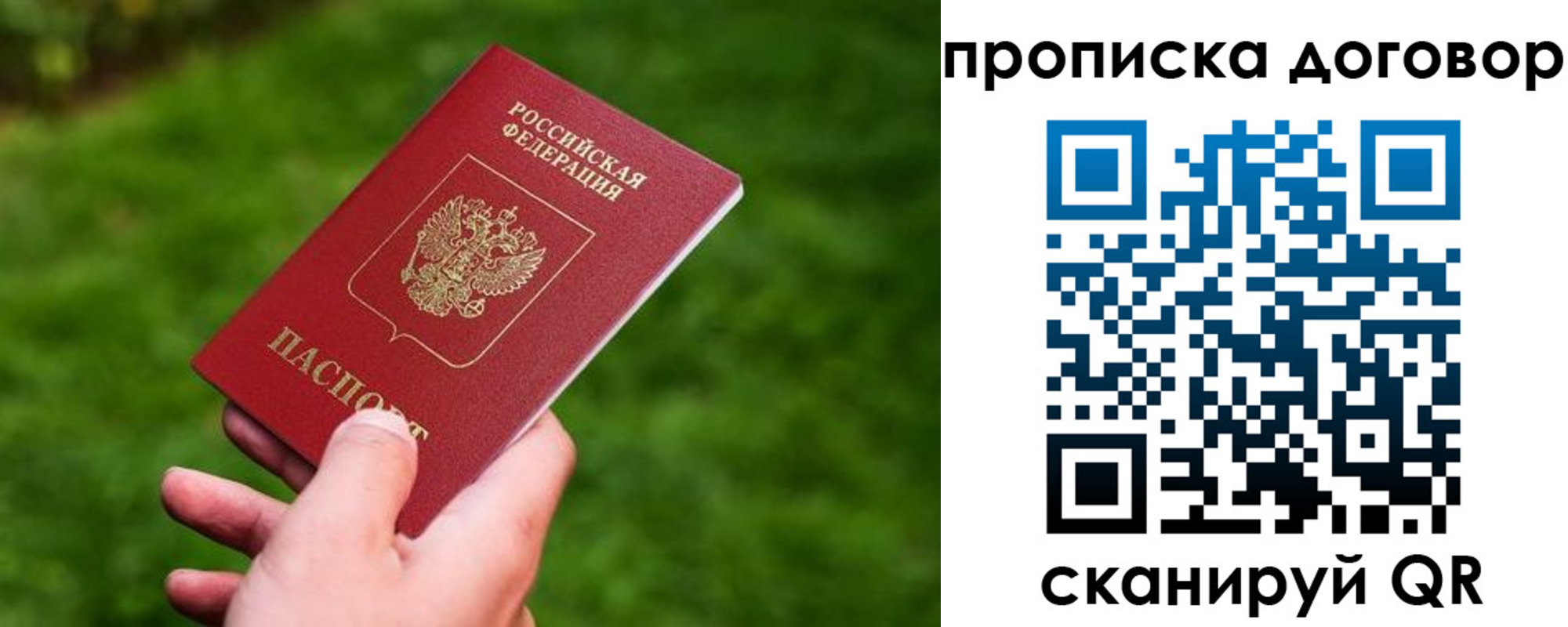 прописка гарантия в Амурской области